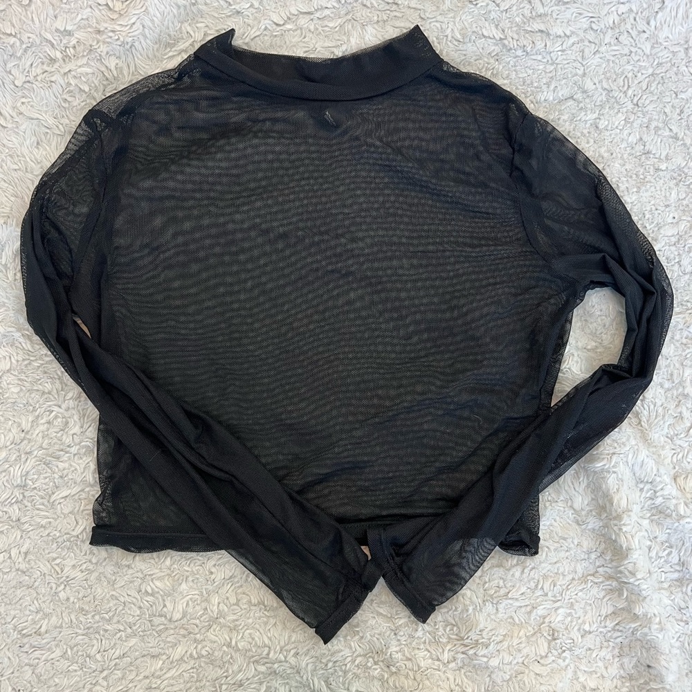 Sheer long sleeve crop